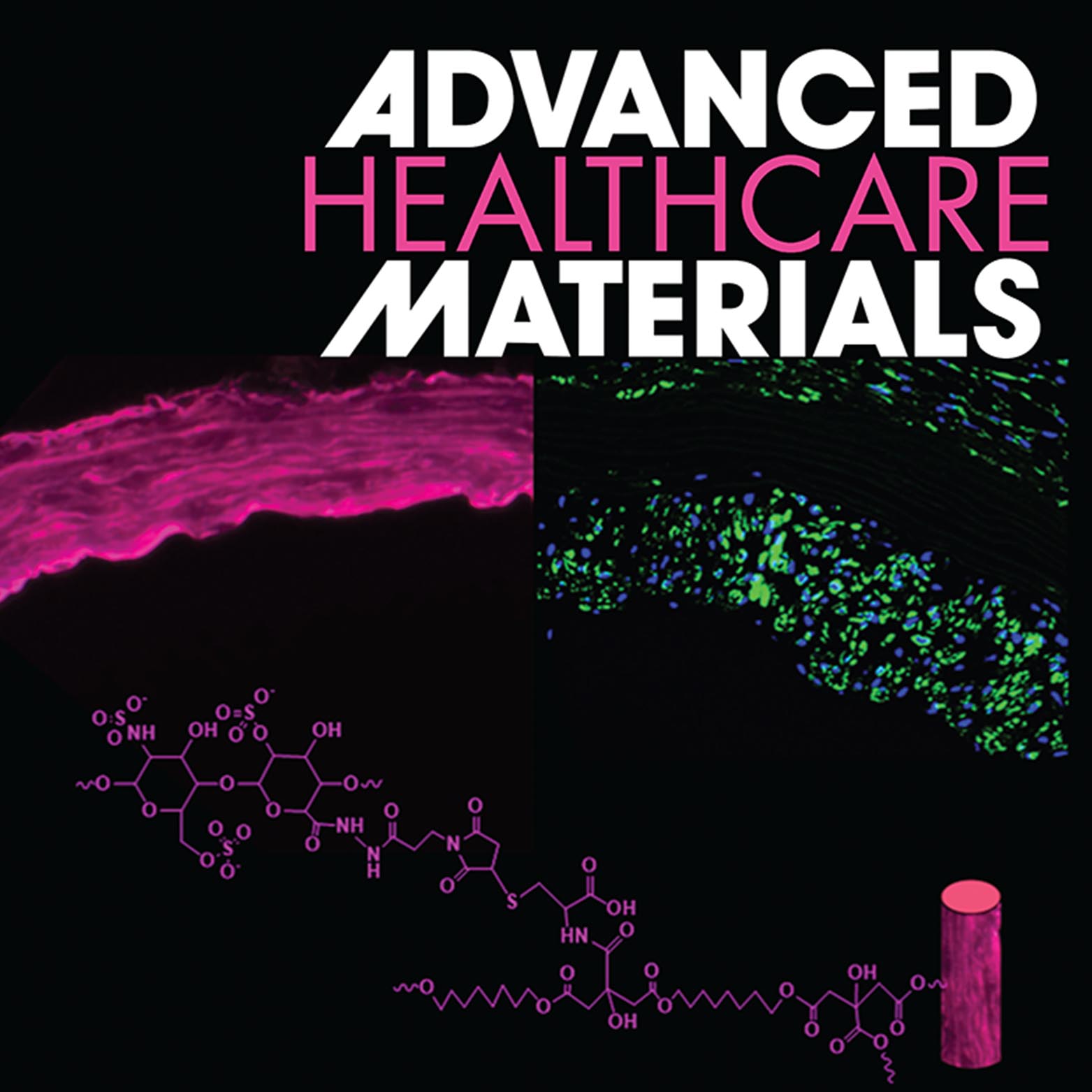 Bin Jiang, Advanced Healthcare Materials, 2016 Cover