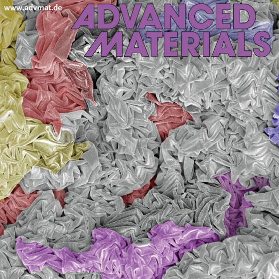 Ryan Hoshi, <em>Advanced Materials</em>, 2009 Cover