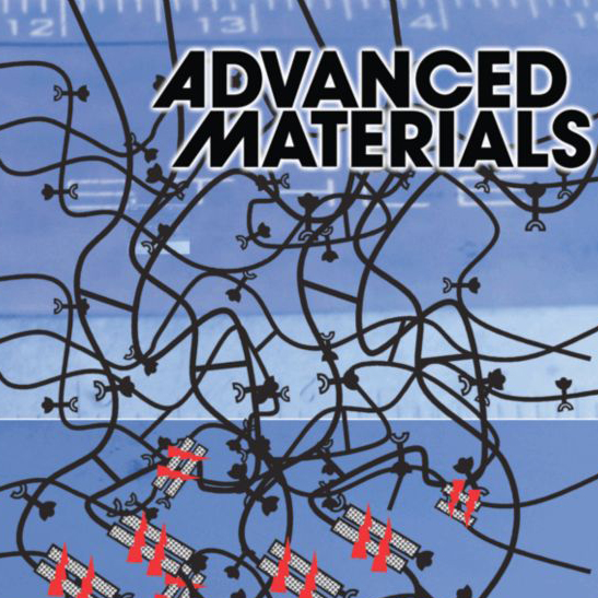 Conchi Serrano, <em>Advanced Materials</em>, 2011 Cover