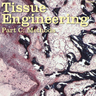 Eunji Chung, <em>Tissue Engineering</em>, 2012 Cover